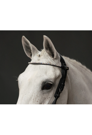 Naczółek PresTEQ ShineBright | Sklep jeździecki Horse-Trade.pl