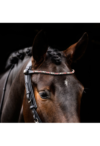 Naczółek PresTEQ ShineBright | Sklep jeździecki Horse-Trade.pl