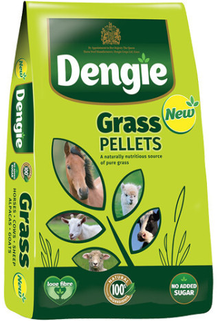 Trawokulki DENGIE Grass Pellets 20kg