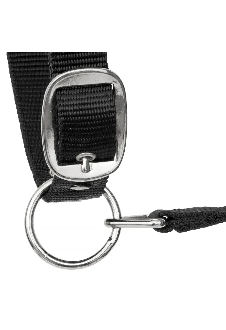 Kantar START Neoprene Glitter 2tone