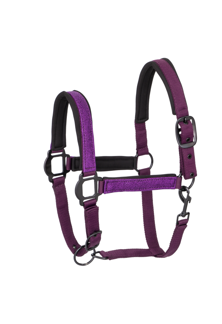 Kantar dla konia START Neoprene Glitter | Sklep jeździecki Horse-Trade.pl