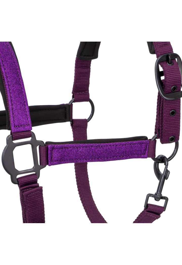 Kantar dla konia START Neoprene Glitter | Sklep jeździecki Horse-Trade.pl