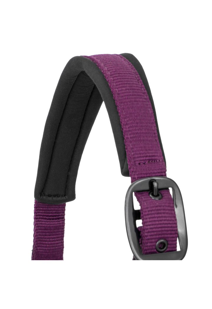 Kantar dla konia START Neoprene Glitter | Sklep jeździecki Horse-Trade.pl