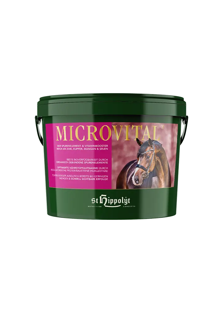 Witaminy ST.HIPPOLYT Microvital 3kg granulat