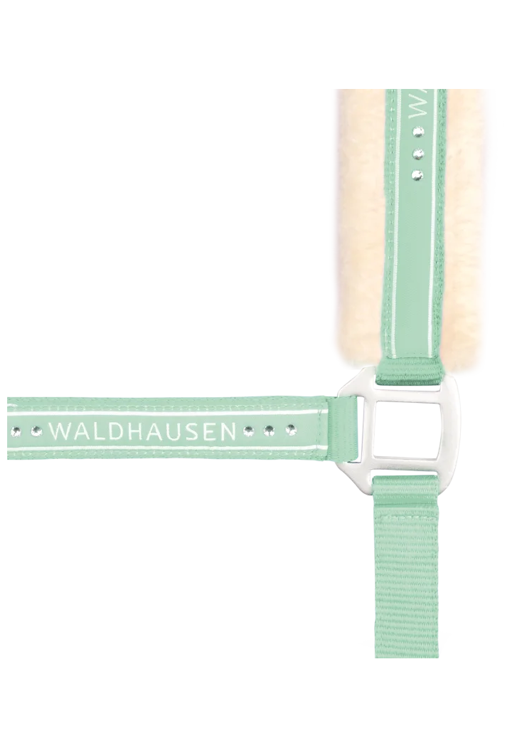 Kantar WALDHAUSEN Elegant