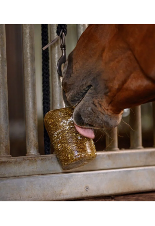 Lizawka WALDHAUSEN StableSnack Herbal Lick 1kg