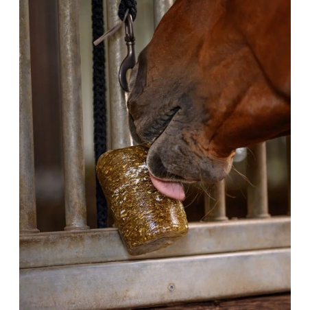Lizawka WALDHAUSEN StableSnack Herbal Lick 1kg