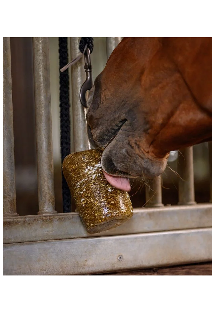 Lizawka WALDHAUSEN StableSnack Herbal Lick 1kg