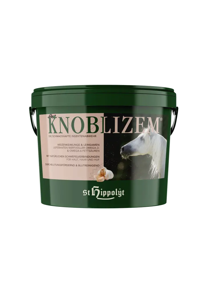 Czosnek ST.HIPPOLYT Knoblizem granulat