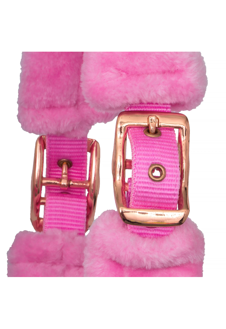 Kantar START Teddy RoseGold