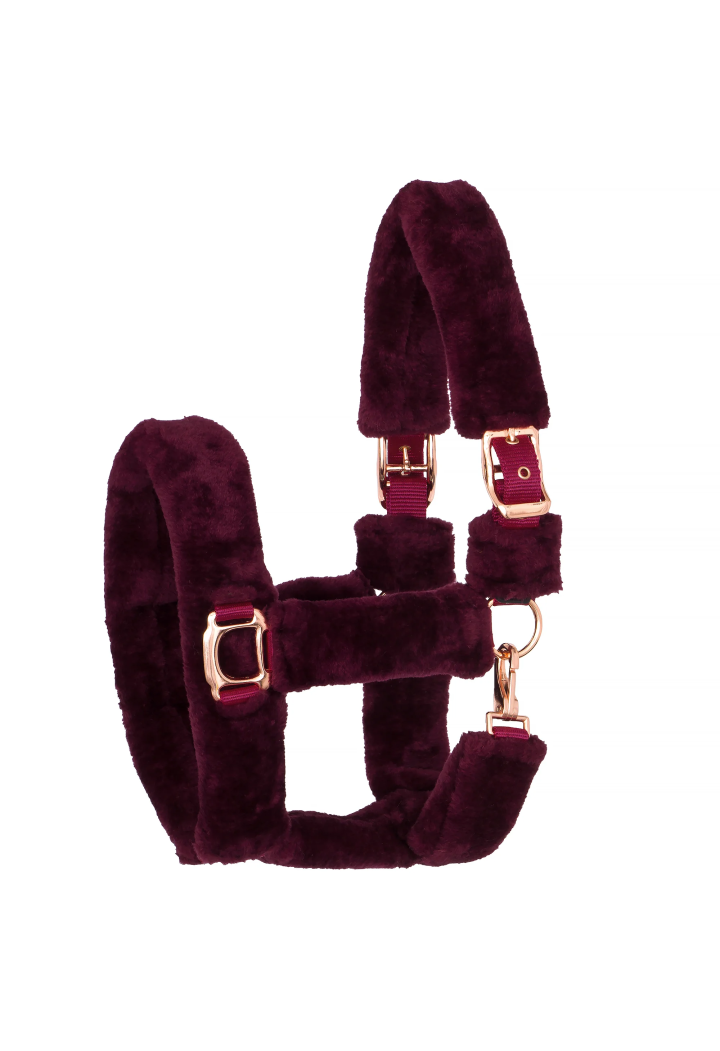 Kantar START Teddy RoseGold