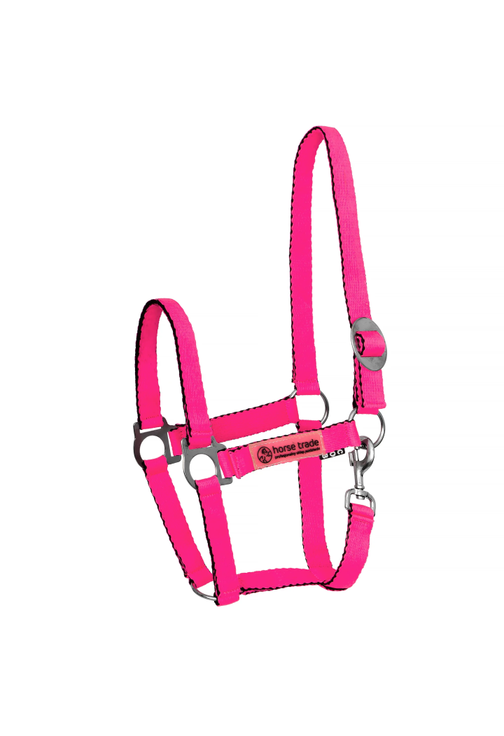Kantar HORSE-TRADE Soft Neon