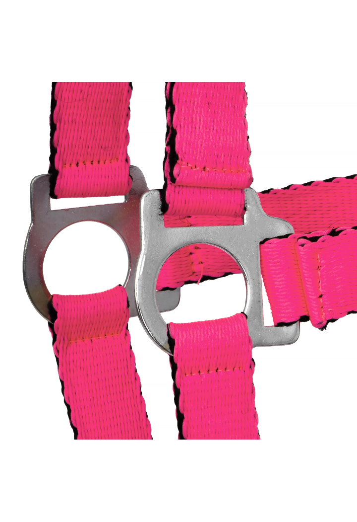 Kantar HORSE-TRADE Soft Neon