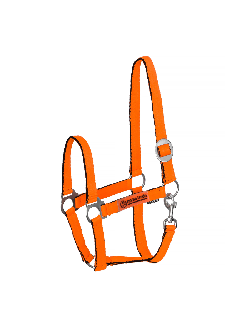 Kantar HORSE-TRADE Soft Neon