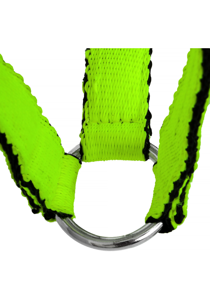 Kantar HORSE-TRADE Soft Neon