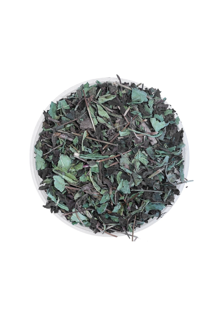Jeżówka echinacea EQUIHERBS