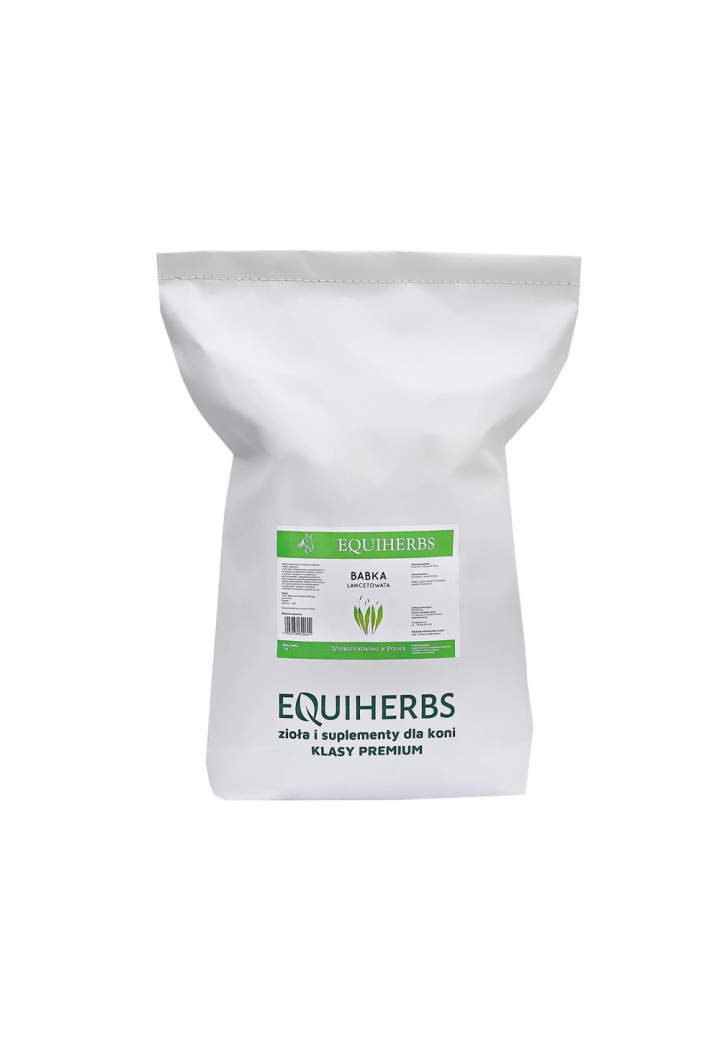 Babka lancetowata EQUIHERBS