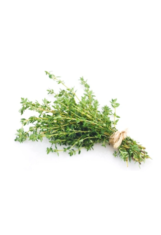 Tymianek EQUIHERBS