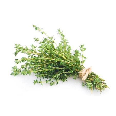 Tymianek EQUIHERBS