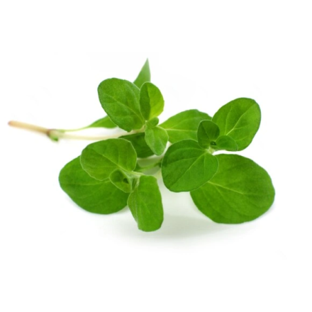 Majeranek EQUIHERBS