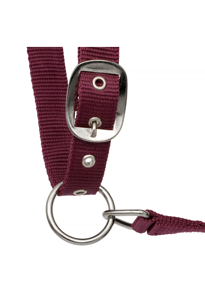 Kantar START Neoprene Glitter 2tone