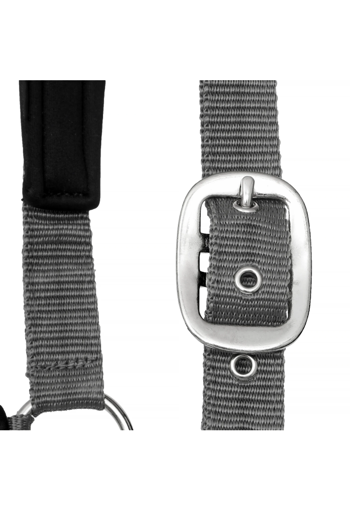 Kantar START Neoprene Glitter 2tone