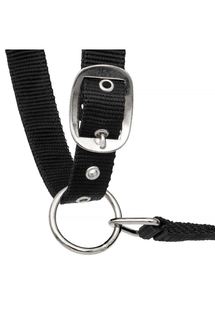 Kantar START Neoprene Glitter 2tone