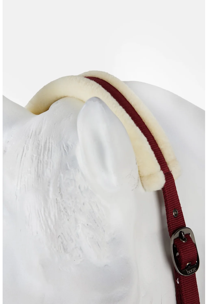 Kantar HORZE Howard 26AW