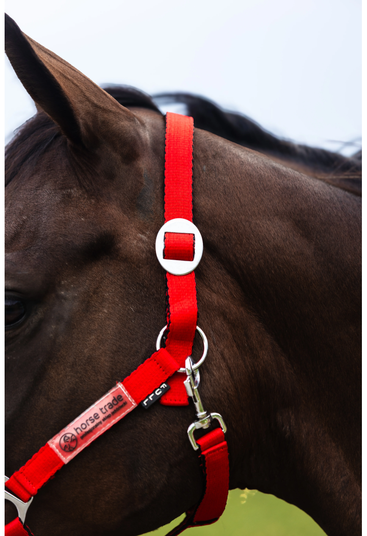 Kantar HORSE-TRADE Soft Neon