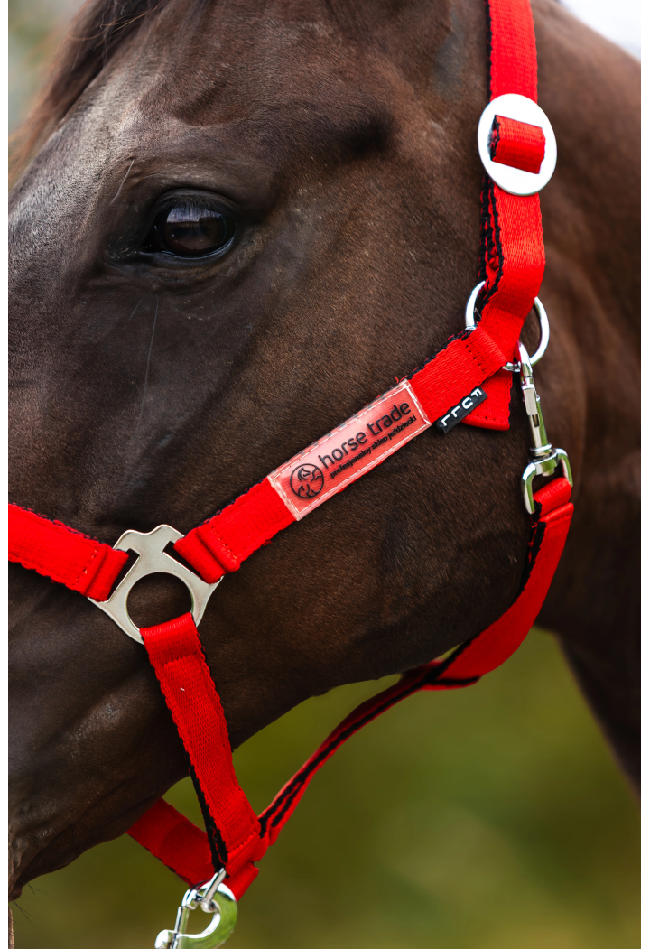 Kantar HORSE-TRADE Soft Neon
