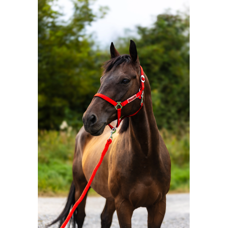 Kantar HORSE-TRADE Soft Neon