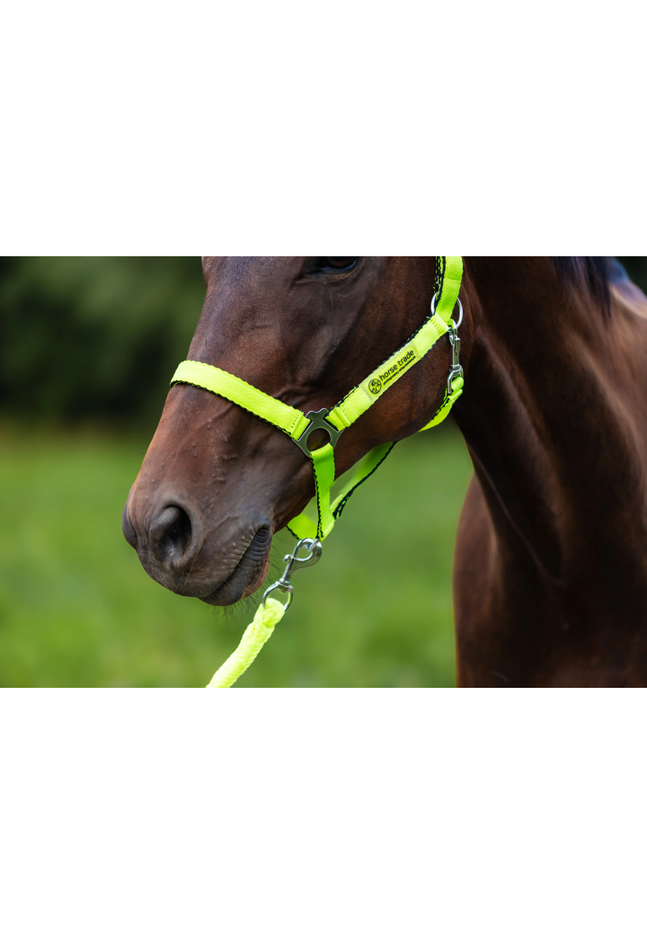 Kantar HORSE-TRADE Soft Neon