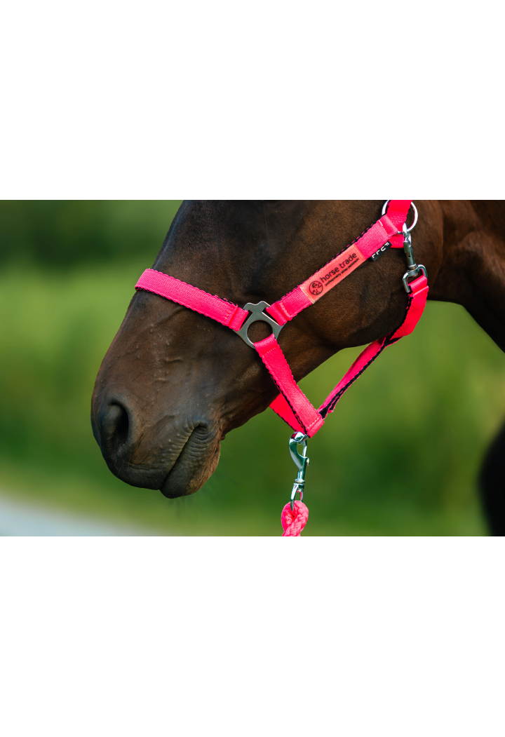 Kantar HORSE-TRADE Soft Neon