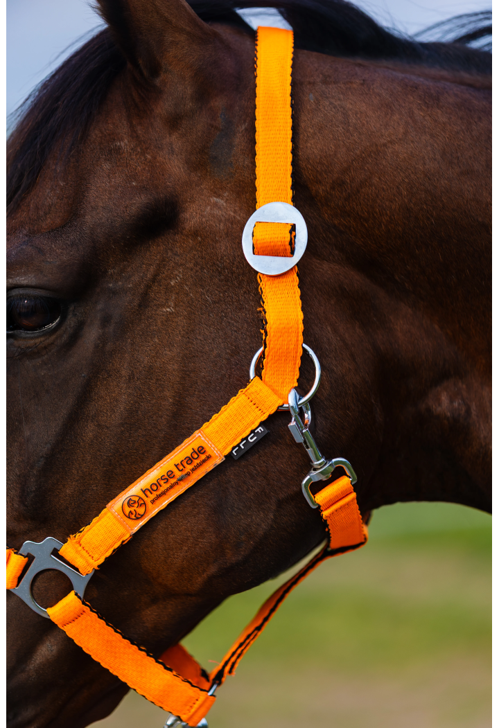 Kantar HORSE-TRADE Soft Neon