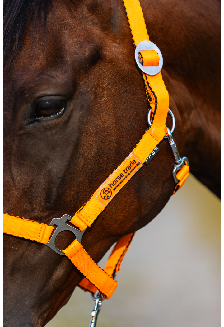 Kantar HORSE-TRADE Soft Neon