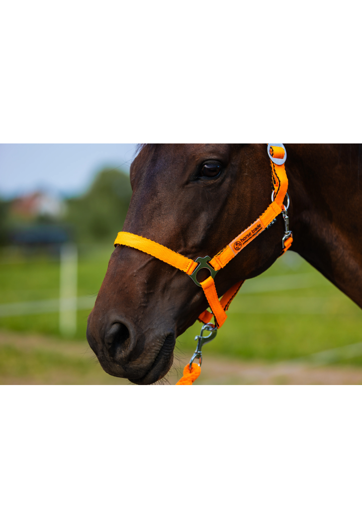 Kantar HORSE-TRADE Soft Neon