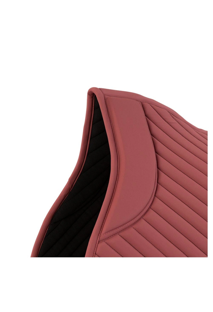 Czaprak BR Loreen 26AW