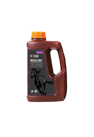 Preparat na mięśnie FORAN MuscleMax 2,5l
