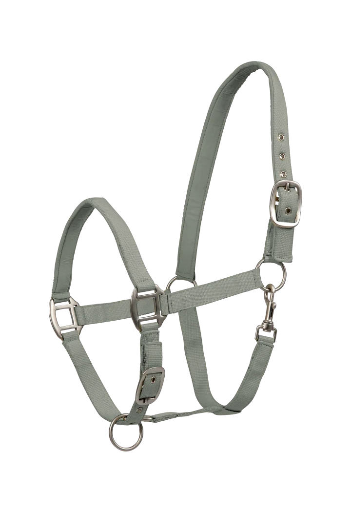 Kantar WALDHAUSEN Satin