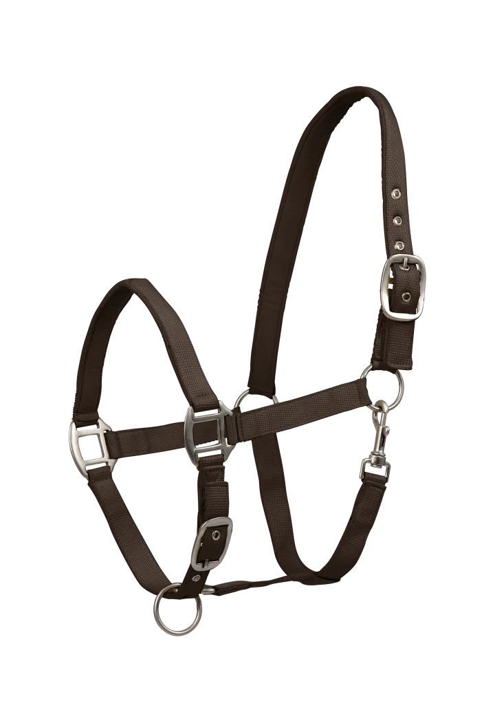 Kantar WALDHAUSEN Satin