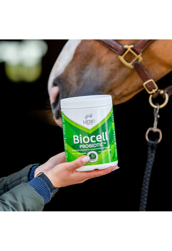 Probiotyk MEBIO Biocell Complex 1kg