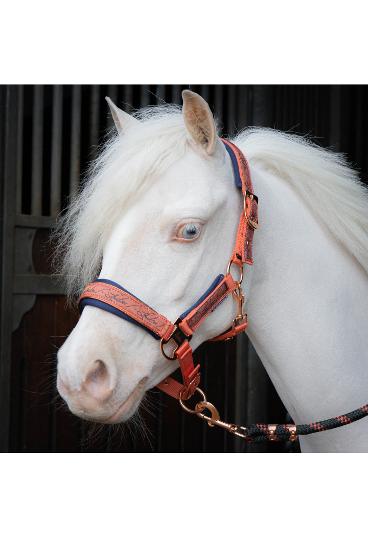 Kantar z uwiązem Harry's Horse LouLoul 26AW
