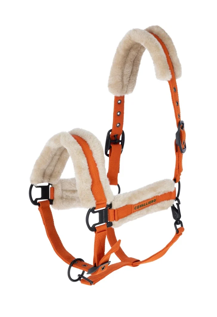 Kantar COVALLIERO Soft 26AW