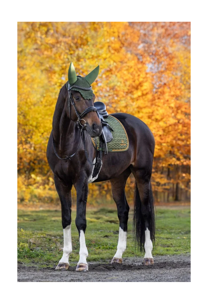 Czaprak COVALLIERO Soft 26AW