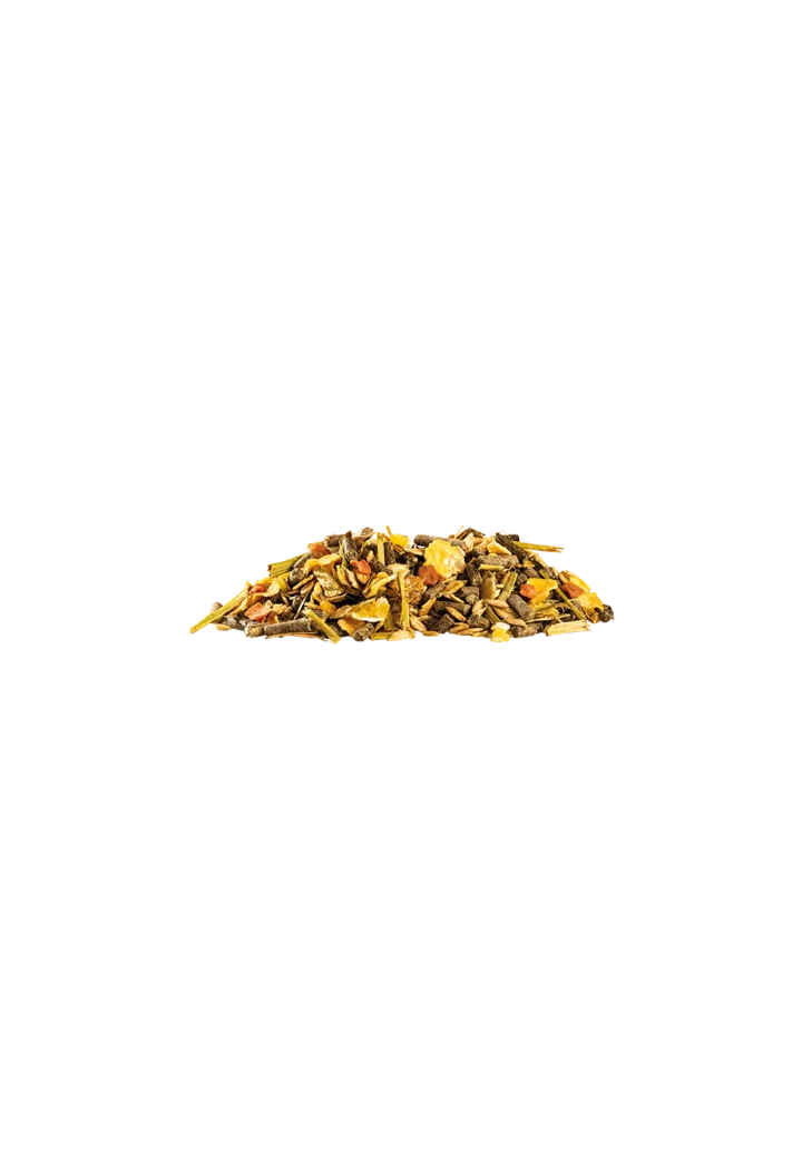 Pasza JOSERA Leichter Mix 15kg