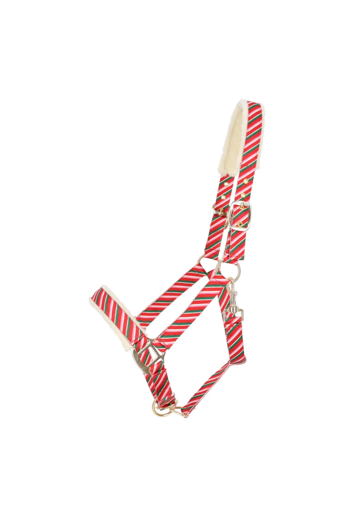 Kantar QHP Christmas