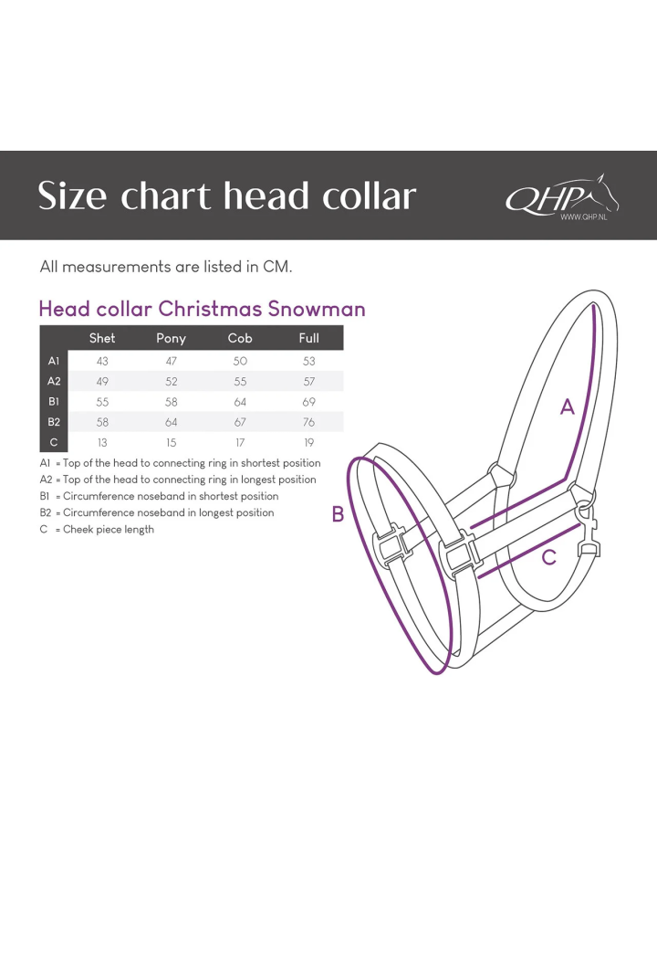 Kantar QHP Christmas
