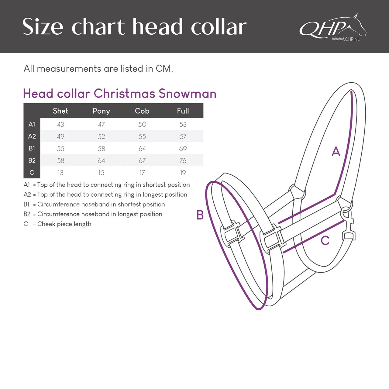 Kantar QHP Christmas