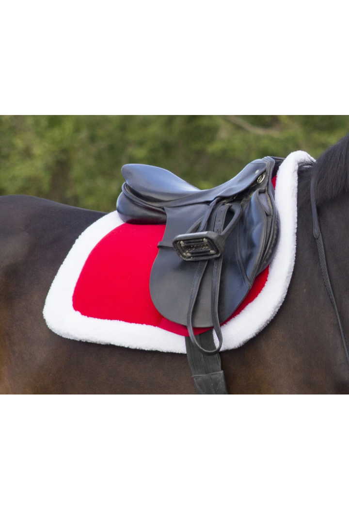 Czaprak QHP Christmas