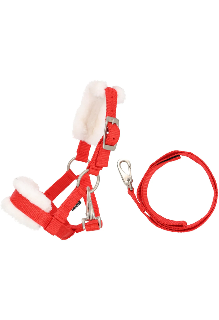 Zestaw kantar+uwiąz QHP Hobby Horse Christmas